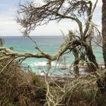 Narooma